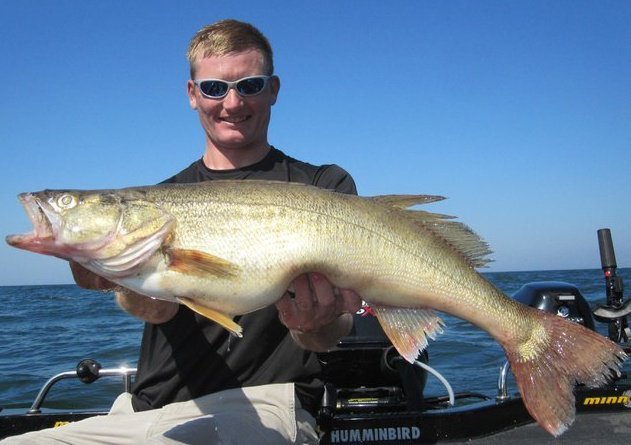 Cover More Water & Catch Bigger Fish: Proven Tips with Dubro Fishing - DUBRO Fishing